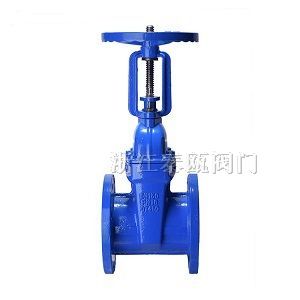 RRHX,Z41X 明杆弹性座封闸阀